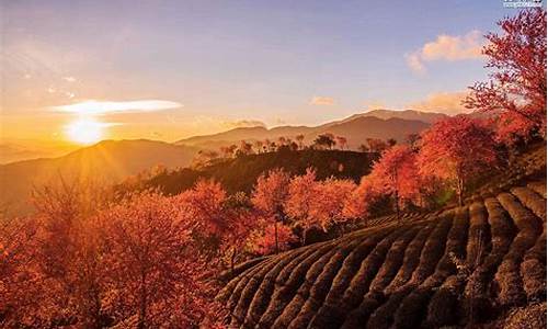 1月份适合旅游的城市_1月份适合旅游的城