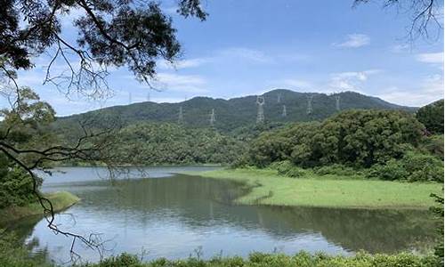 厦门海沧天竺山森林公园_厦门海沧天竺山森