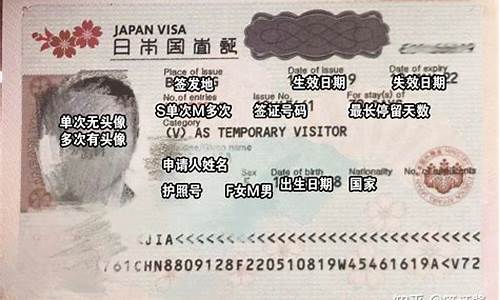 日本个人旅游签证要求_日本签证办理条件2024旅游签