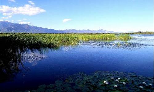 延庆野鸭湖湿地公园_延庆野鸭湖湿地公园门票